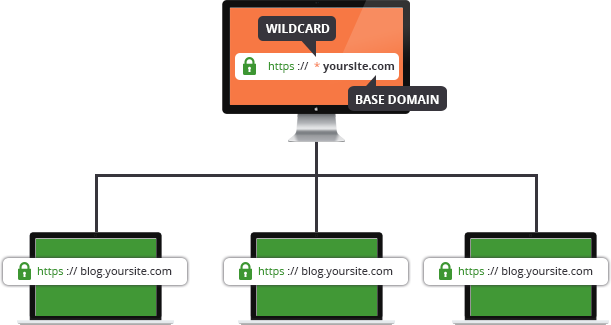 گواهینامه SSL WildCard